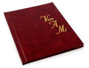 Ven_A_Mi_angle